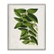 Stupell Industries Stacked Leaves Botanical Framed Giclee Wall Art Design by Tina Higgins Designs, Inc.